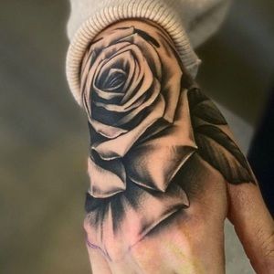 Meet your Posher, Alexander